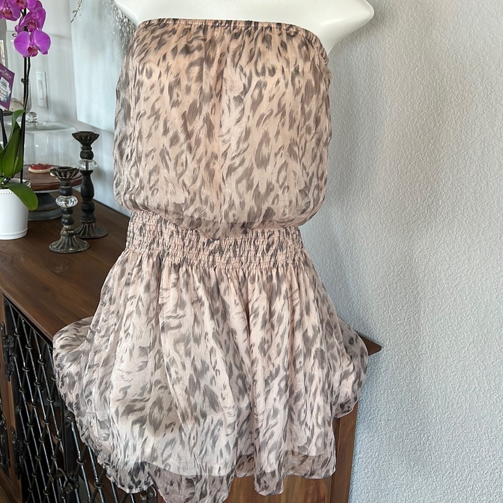 NWT Beautiful Strapless Dress